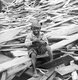 USA: The 1900 Galveston Hurricane. 'I'm glad Ise living'. Politically incorrect caption from 1900